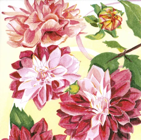 Servietter 33x33cm Dahlia v:8676895