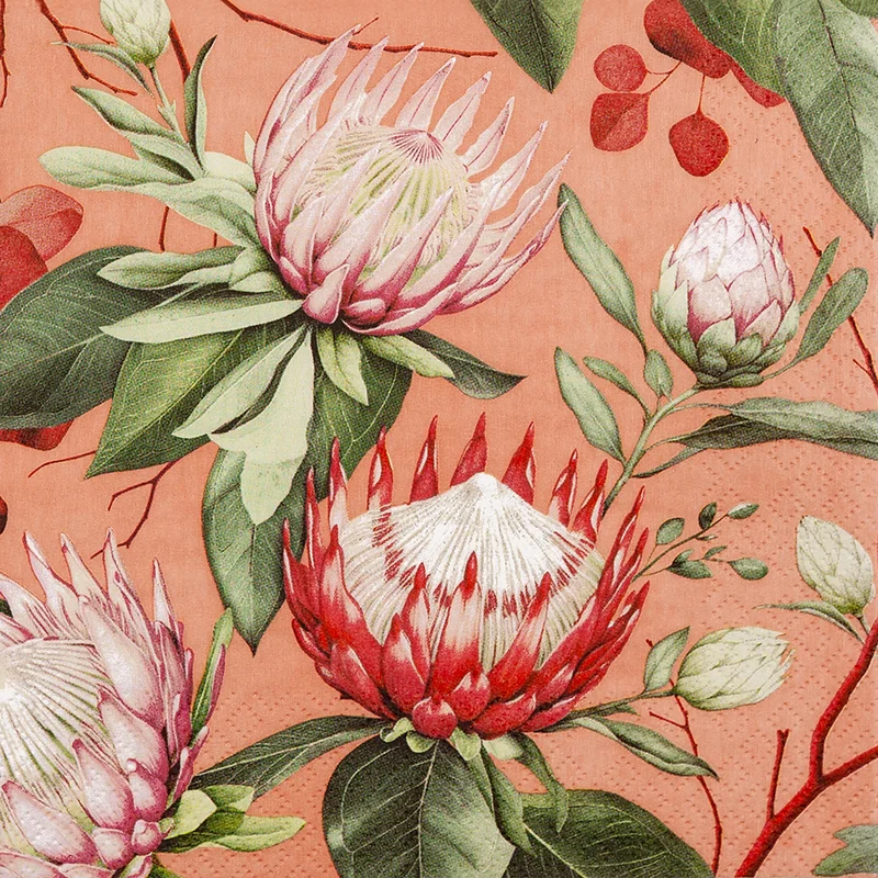 Servietter 33x33cm Madiba Protea coral v:5886879